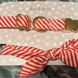 Altard State dog collar set